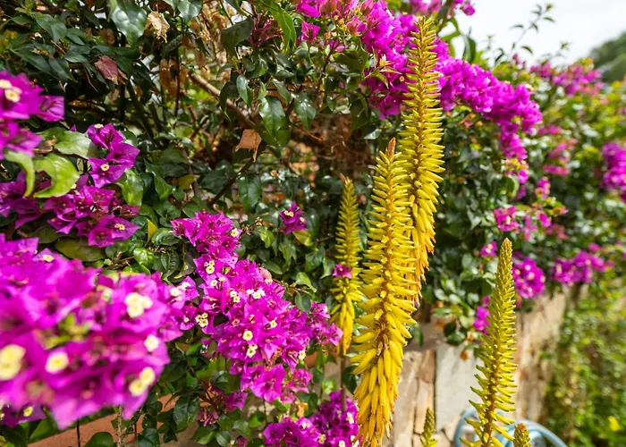 Casa Oleandro Nyaraló Villasimius