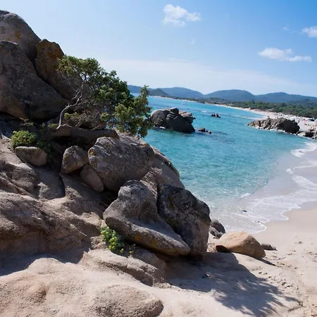 Casa Oleandro וילסימיוס